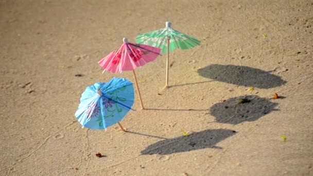 Små strandparaplyer av papper för ett cocktailställ på sandstranden — Stockvideo