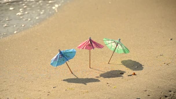 Petits parasols en papier pour un stand de cocktail sur la plage de sable — Video