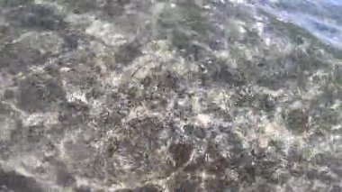Su, okyanus, kumsal, deniz kabuğu, güneş, su üzerinde parıldıyor.