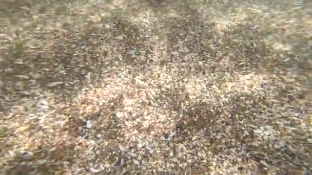 Abstraktní pohled voda moře oceán pláž písek mušle slunce oslnění na vodě — Stock video