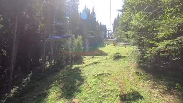 Movimiento del teleférico en el bosque — Vídeo de stock