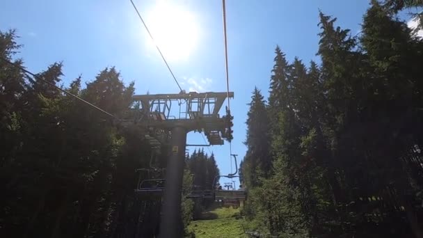 森林中缆车的移动 — 图库视频影像