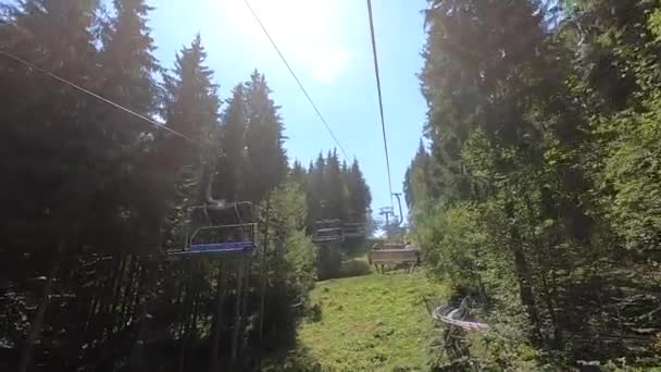 Movimiento del teleférico en el bosque — Vídeos de Stock