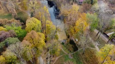 Beautiful view people walking on ground paths near lake in park with trees with yellow red green fallen leaves on sunny autumn day. Top view. Beautiful natural background. Aerial drone view.