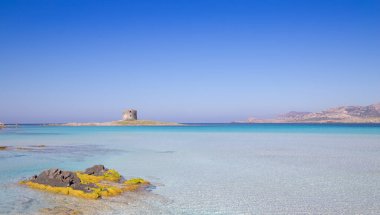 La Pelosa Stintino plajı, Sardunya adası, İtalya