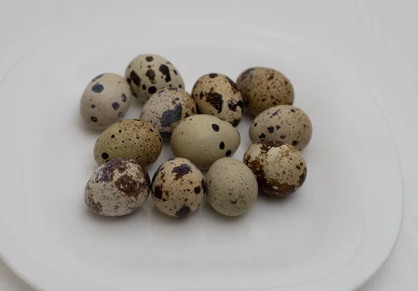Telur Puyuh Pada Latar Belakang Putih — Stok Foto