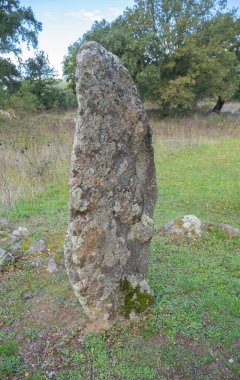 Büyük megalitik Sorgono menekşeleri, sardunya merkezi - doğum öncesi