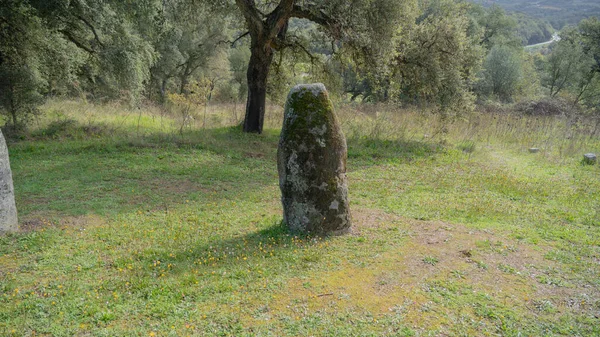 Grote Megalithische Menhirs Van Sorgono Sardinë Centraal Prenuragic — Stockfoto