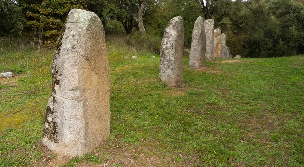 Große Megalithische Menhire Von Sorgono Sardinen Zentral Prenuragic — Stockfoto