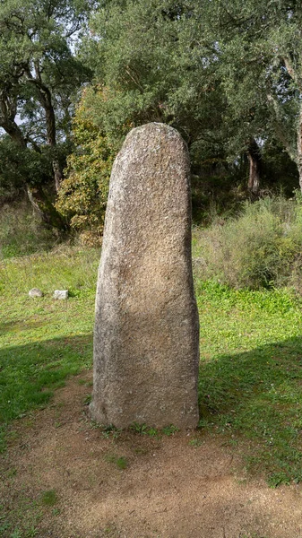 Grands Menhirs Mégalithiques Sorgono Sardinia Centrale Préuragique — Photo