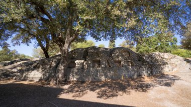 Sardunya 'da meşe ağaçları altında birden fazla oyuğu olan antik kaya kesimi sunak.