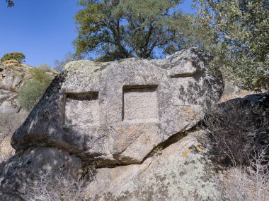 Sardunya 'da meşe ağaçları altında birden fazla oyuğu olan antik kaya kesimi sunak.