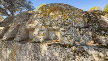 Sardunya 'da meşe ağaçları altında birden fazla oyuğu olan antik kaya kesimi sunak.