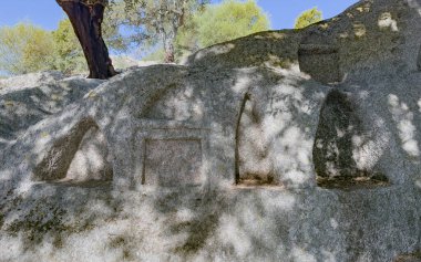 Sardunya 'da meşe ağaçları altında birden fazla oyuğu olan antik kaya kesimi sunak.