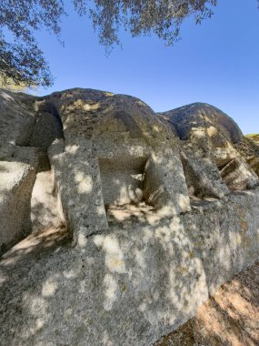 Sardunya 'da meşe ağaçları altında birden fazla oyuğu olan antik kaya kesimi sunak.