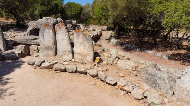 Olbia yakınlarında ağaçlar ve kuru manzarayla çevrili tarih öncesi dev mezarları.