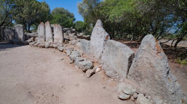Olbia yakınlarında ağaçlar ve kuru manzarayla çevrili tarih öncesi dev mezarları.