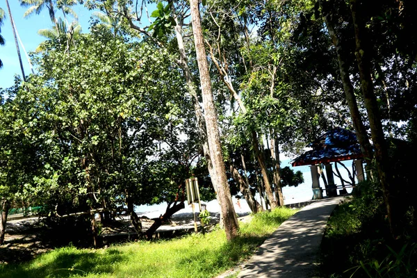 Vista Paisagem Estrada Passando Árvores Centrais Como Julgamento Selva — Fotografia de Stock