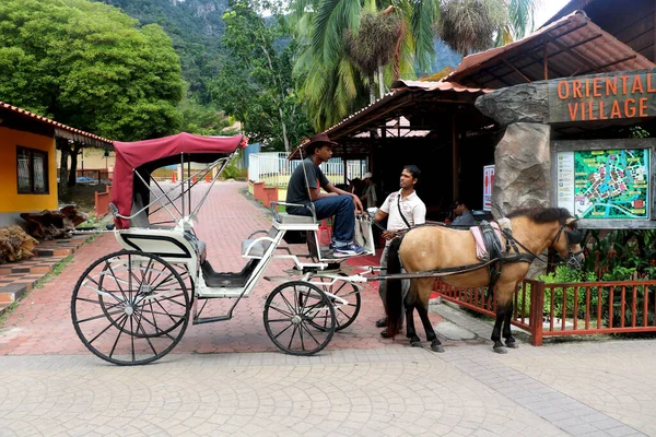 Country Malaysia City Langkawi Date 2020 Pony Cart Oriental Village — стоковое фото