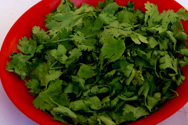 Hojas Cilantro Tazón Rojo Con Fondo Blanco Aislado —  Fotos de Stock