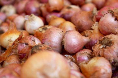 Yerel tarım pazarında bir sürü yeni hasat sarısı ve kırmızı soğan