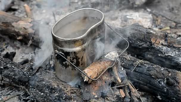 Cuisiner de la nourriture sur le feu de camp dans la forêt — Video