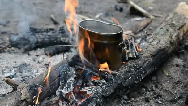 Cozinhar comida na fogueira na floresta de verão — Vídeo de Stock