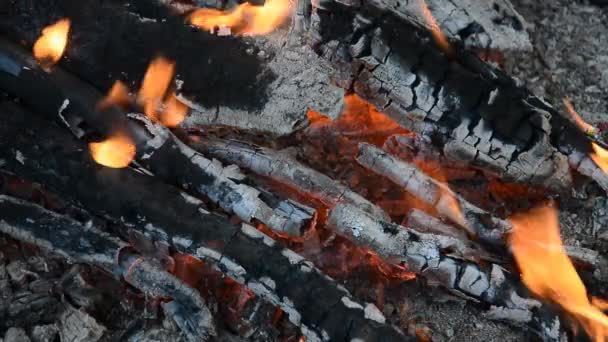 Fanning campfire embers — Stock Video