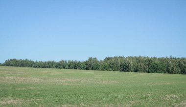 mavi gökyüzü ve orman ile tarımsal alan peyzaj