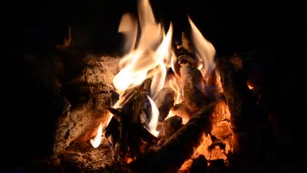 Lagerfeuer in Zeitlupe — Stockvideo