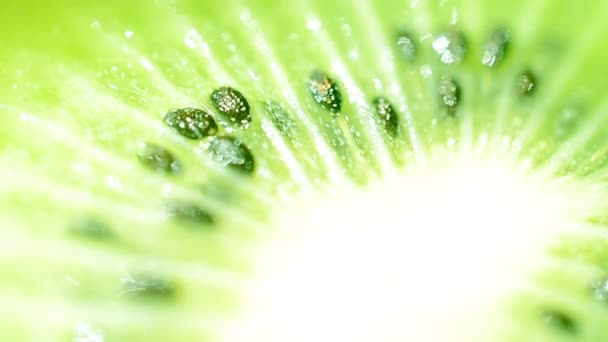 Macro filmato di kiwi — Video Stock