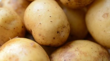 Genç patates sola döndürülmüş arka kapatmak