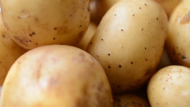 Jonge aardappelen close-up achtergrond rechts gedraaid — Stockvideo