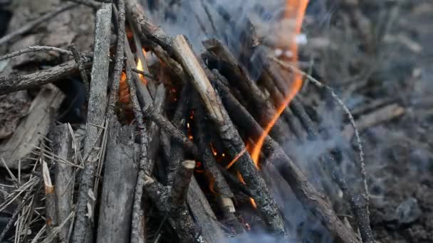Obóz przy ognisku z bliska — Wideo stockowe