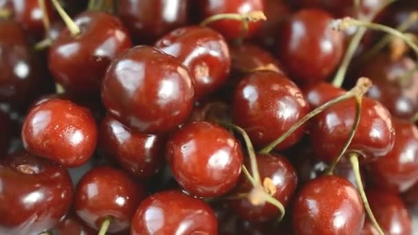 Sweet fresh cherries close up — стоковое видео