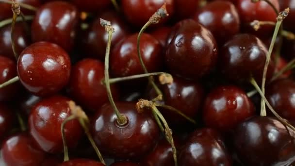 Fresh cherries with drop water close up — Stock Video