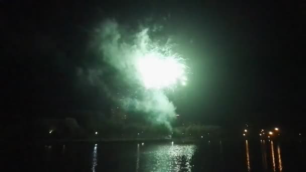 Fuochi d'artificio colorati durante la notte di vacanza HD 1080p — Video Stock