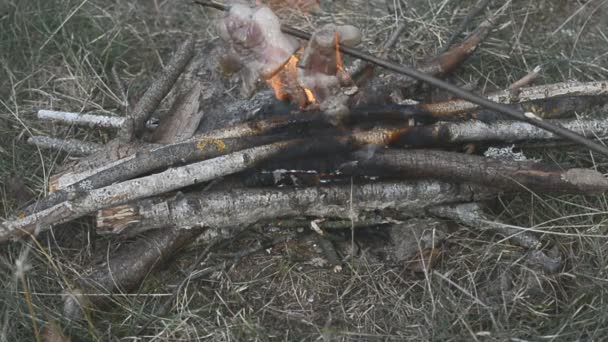 Bir kamp ateşi kavrulmuş domuz pastırması — Stok video
