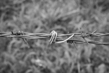 Vintage dikenli tel
