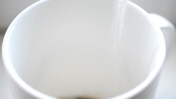 Die Kaffeetasse — Stockvideo