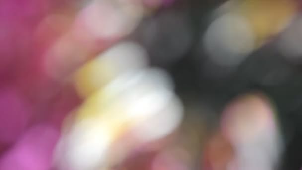 Abstrakte Bokeh-rosa Partikel — Stockvideo