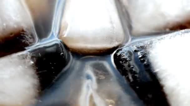 Cola with ice — Stock Video