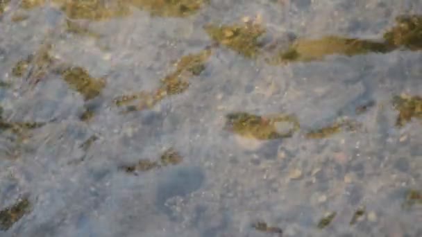 Réflexion de la lumière du soleil dans la rivière 