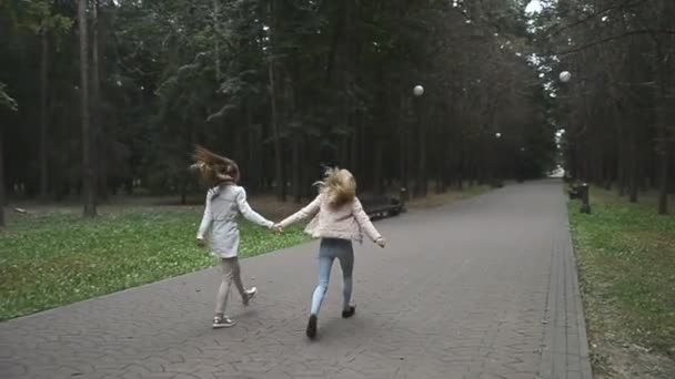 Twee jonge vrouwen joggen in het park — Stockvideo