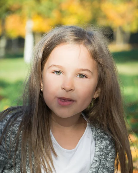 Concepto de la infancia: linda niña en el parque de otoño — Foto de Stock
