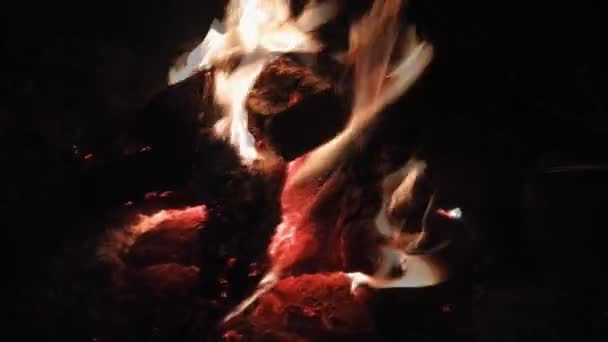 Small campfire burning — Stock Video