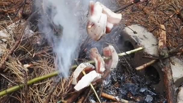 캠프 화재에 지팡이에 튀김 베이컨. — 비디오