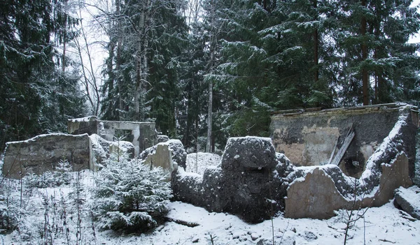 Zniszczony budynek w lesie zimą — Zdjęcie stockowe