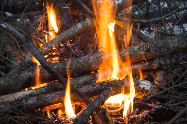 Bosque campamento fuego —  Fotos de Stock