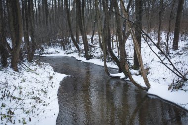 orman akarsu manzara, kış veya bahar zamanı